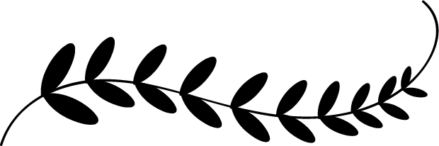 328 3286466 text divider png clip art royalty free doodle text dividers png